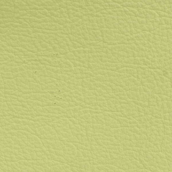 Leder Farben Madras pistachio